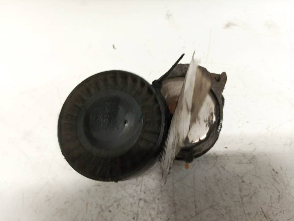 Volvo V70 2008 Ролик-натяжитель ручейкового ремня