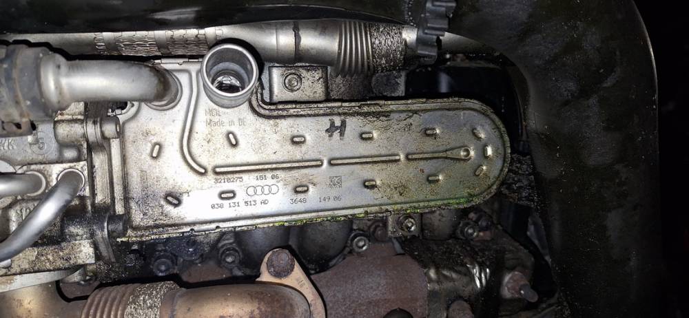 038131513AD Volkswagen Golf 2006 EGR dzesētājs (izplūdes gāzu dzesētājs)