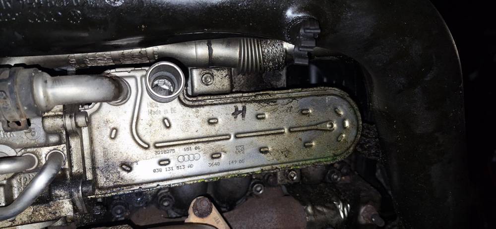 038131513AD Volkswagen Golf 2006 Chłodnica EGR (chłodnica spalin EGR) - Thumbnail 3