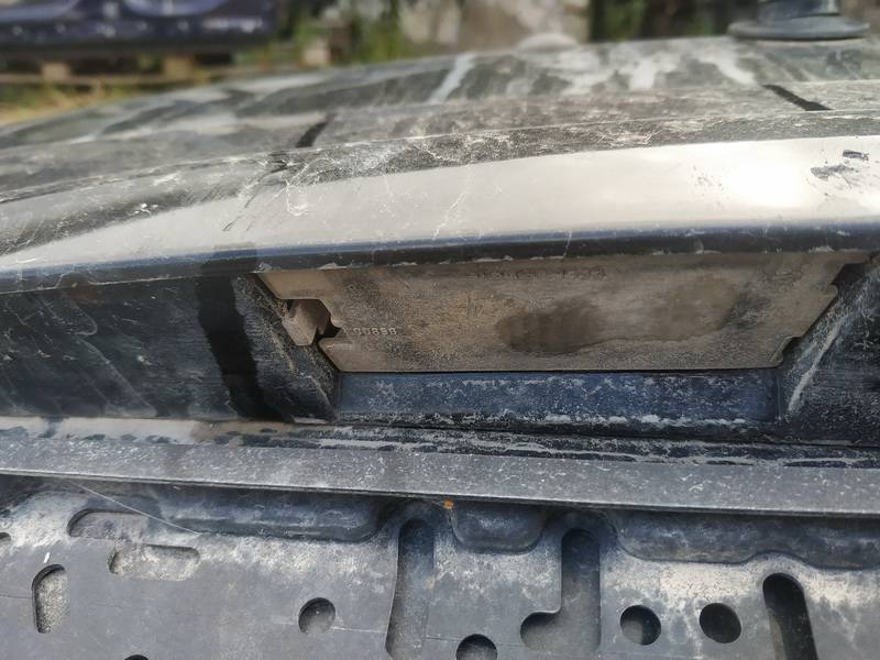 Renault Scenic 2003 Oświetlenie tablicy rejestracyjnej - TYLNE