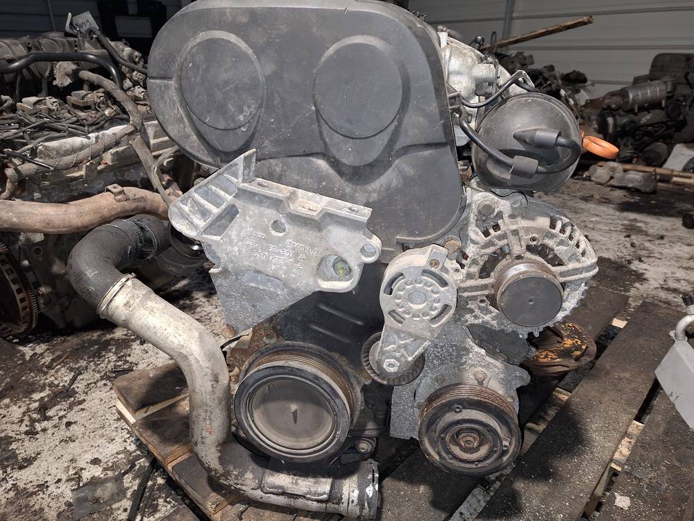 BKD Skoda Octavia 2005 Variklis