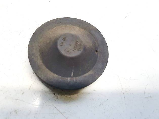 160184 Ford Kuga 2008 Zibinto lemputes dulkiu dangtelis P.