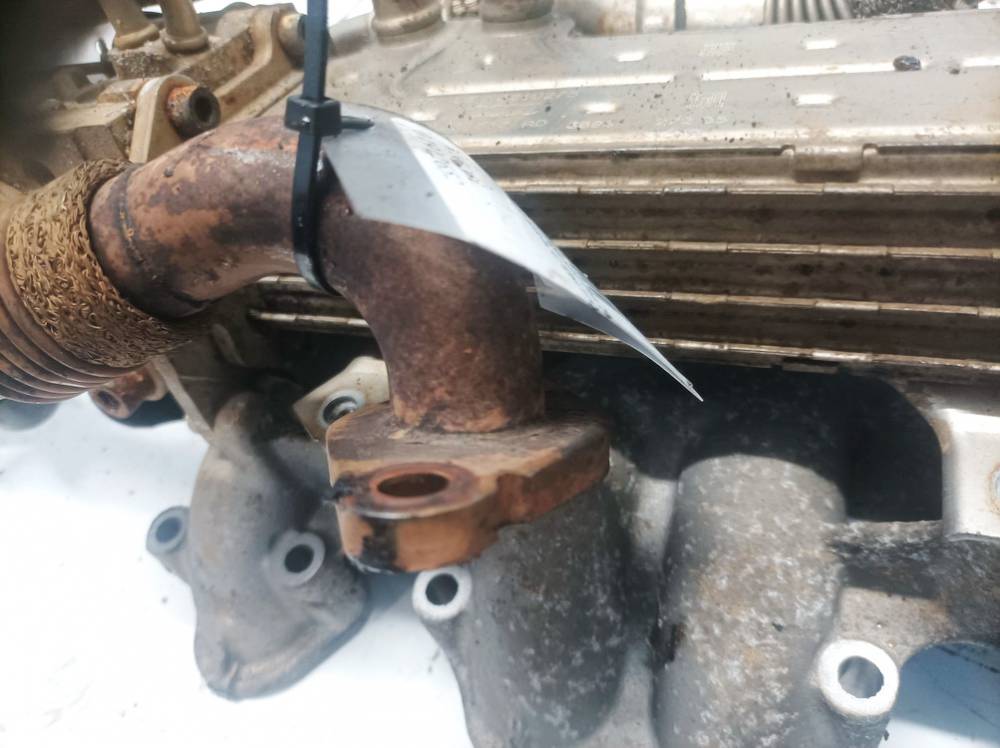 038131521CD Volkswagen Golf Plus 2005 EGR Pipe (Exhaust Gas Recirculation EGR METAL PIPE) - Thumbnail 3