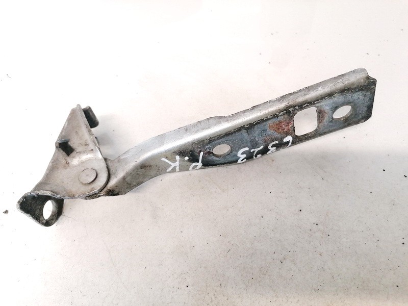 Volkswagen Bora 2002 Kapoto vyris P.K.