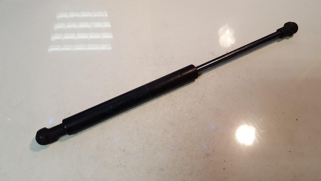 51237008745 BMW 5-Series 2004 Hood Support (strut hood) - FRONT | EuroImpex