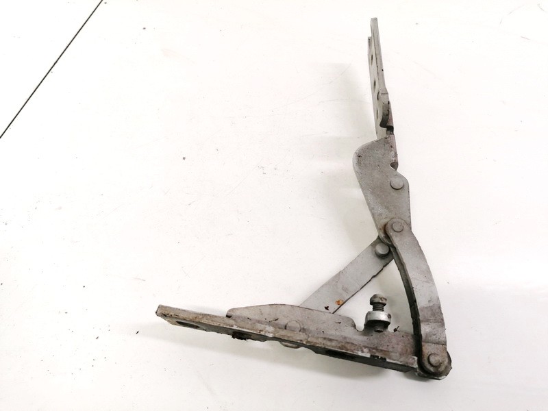 8240333 BMW 7-Series 2003 Kapoto vyris P.K.