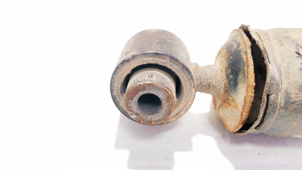 562100033R Renault Laguna 2009 Shock Absorber - Suspension Strut Assembly - REAR LEFT - Thumbnail 2