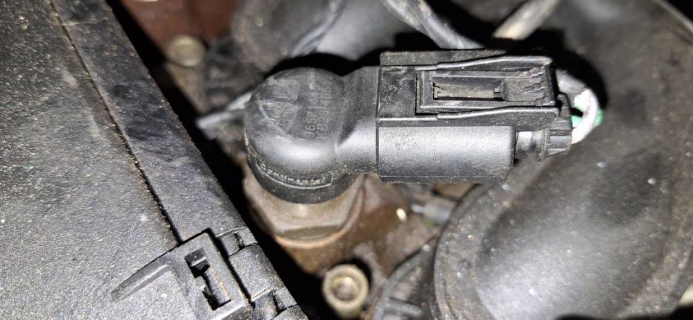 9657144580 Ford S-Max 2006 Fuel Injector