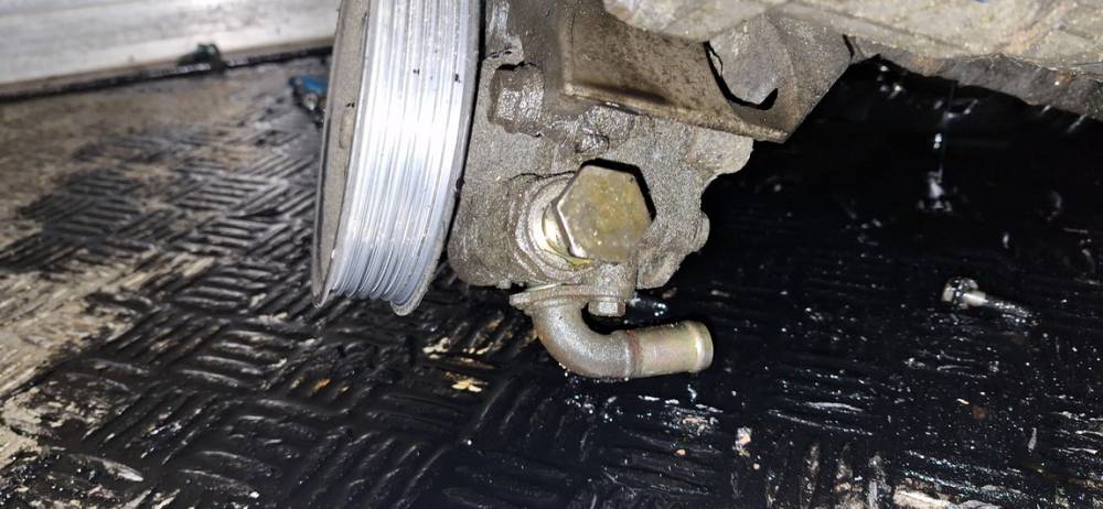 Volkswagen Bora 2002 Vairo stiprintuvo siurblys