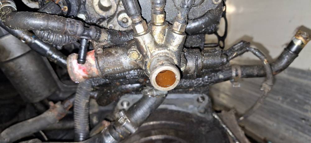 038121133A Volkswagen Bora 2002 Termostato korpusas