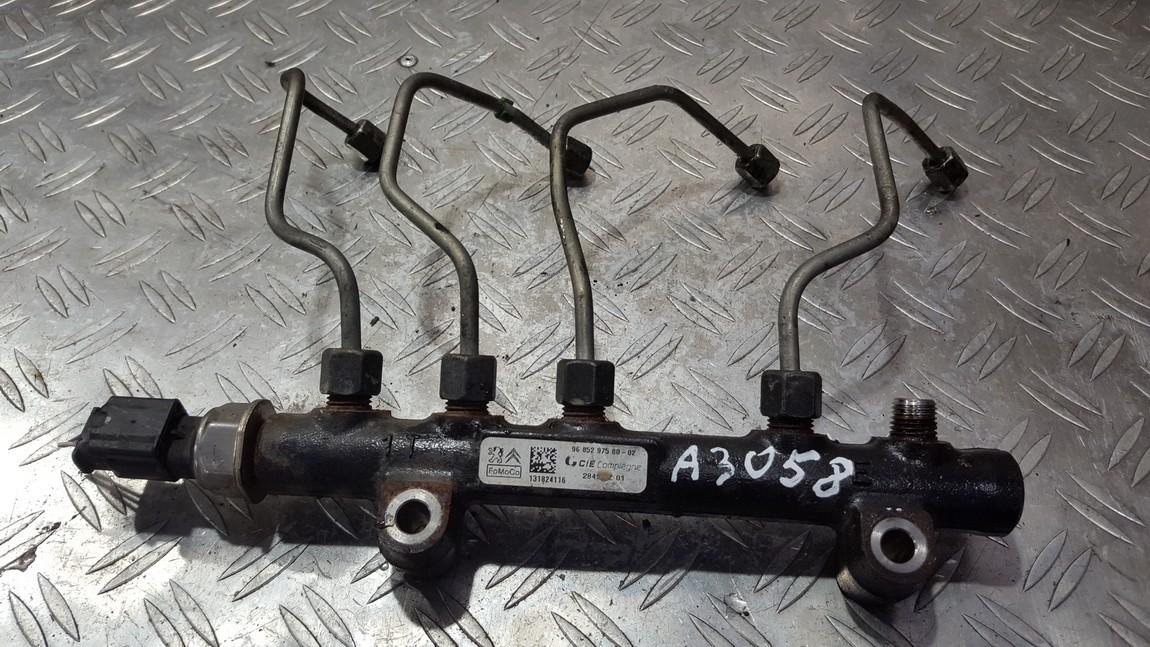 9685297580 Peugeot 308 2013 Einspritzleiste (Düsen)