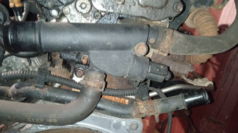 038121132D Volkswagen Polo 2008 Coolant Flange (Engine Coolant Thermostat Housing Cover)