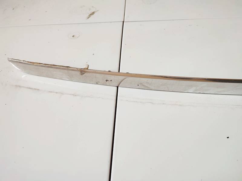 Audi A6 1999 Glass Trim Molding-weatherstripping - FRONT RIGHT - Thumbnail 2