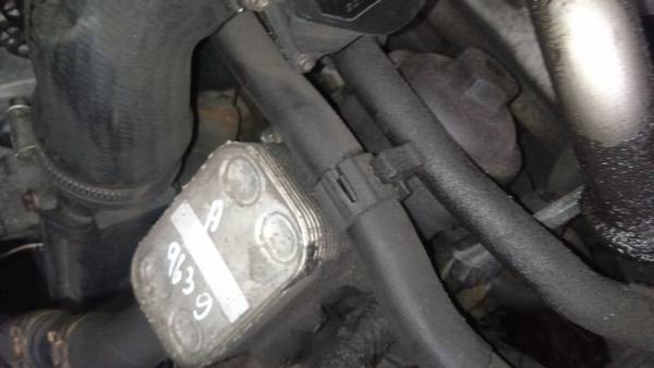 Volkswagen Passat 2011 Oil Filter Housing (oil filter cooler)