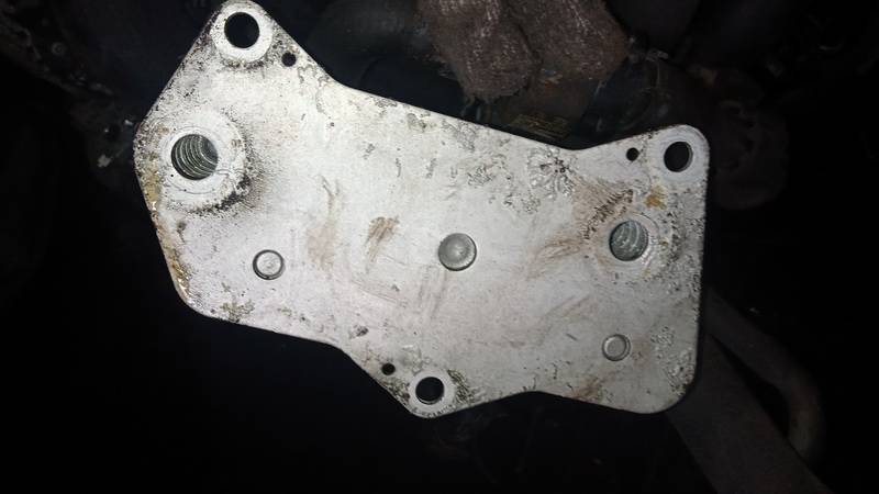 02E409061B Volkswagen Passat 2011 Alyvos ausintuvas automatines pavaru dezes - Thumbnail 3