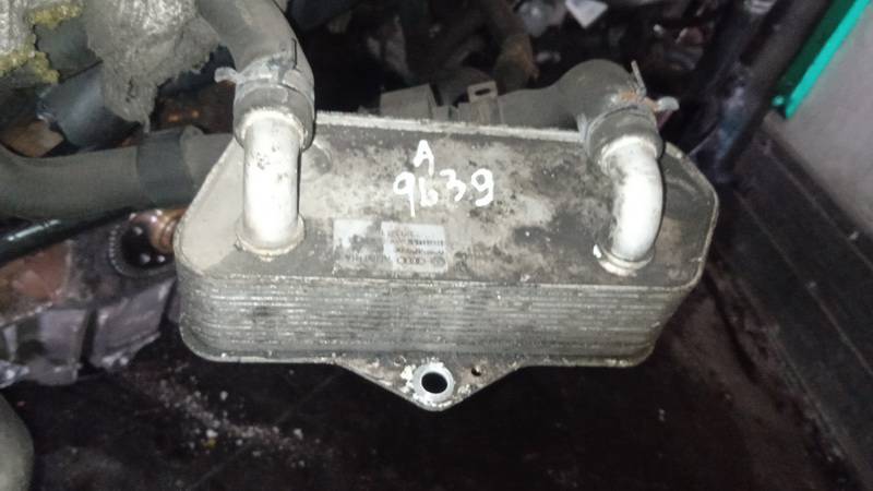 02E409061B Volkswagen Passat 2011 Alyvos ausintuvas automatines pavaru dezes - Thumbnail 2