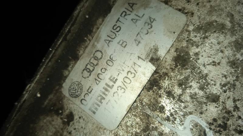 02E409061B Volkswagen Passat 2011 Alyvos ausintuvas automatines pavaru dezes - Thumbnail 4