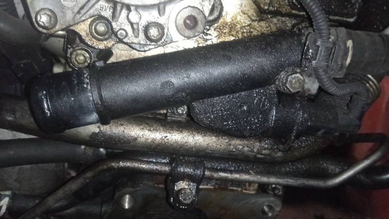 038121132G Volkswagen Golf 2003 Coolant Flange (Engine Coolant Thermostat Housing Cover)