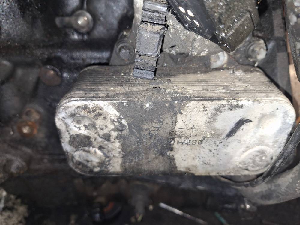 Opel Astra 2000 Eļļas dzesētājs - Thumbnail 2