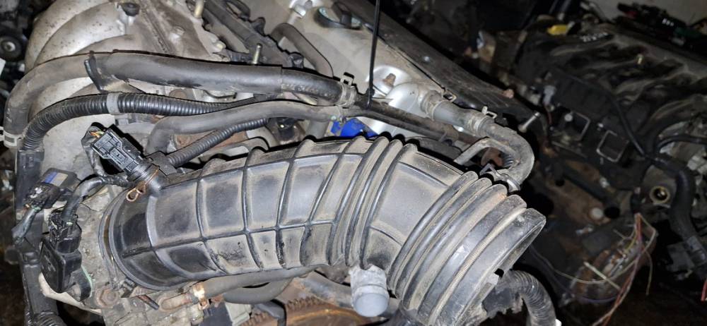 Honda Accord 2004 Intake Hose (Air HOSE)(Air Pipe) - Thumbnail 3