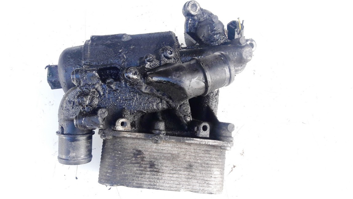 used used Oil Filter Housing (oil filter cooler) Nissan Qashqai 2008 2