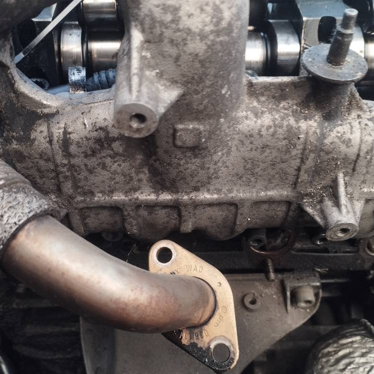 Audi A4 2001 Kolektor ssący