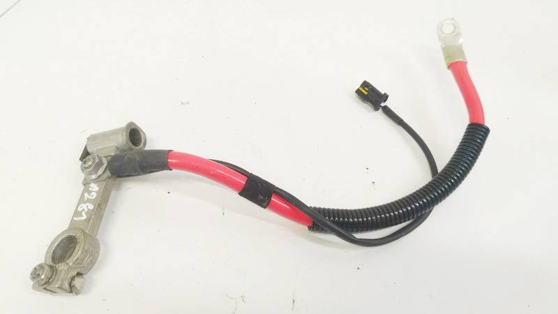 690661804 BMW 5-Series 2009 battery terminal