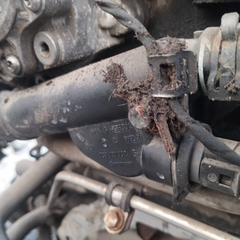 038121132 Volkswagen Passat 2008 Ausinimo skyscio flansas (Ausinimo sistemos junge, ausinimo skyscio junge) - Thumbnail 2