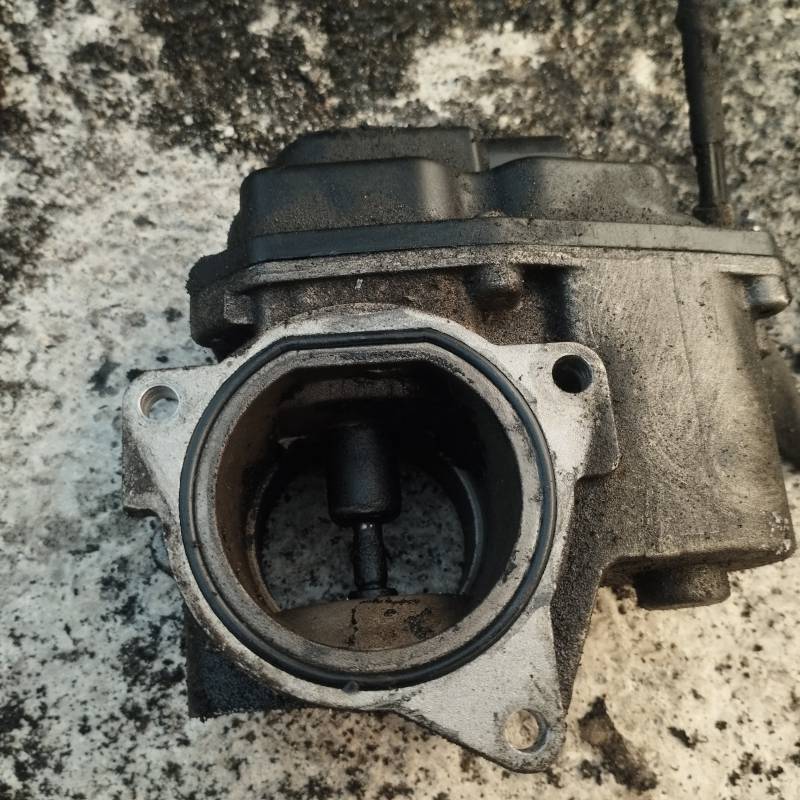 Volkswagen Passat 2008 EGR voztuvas