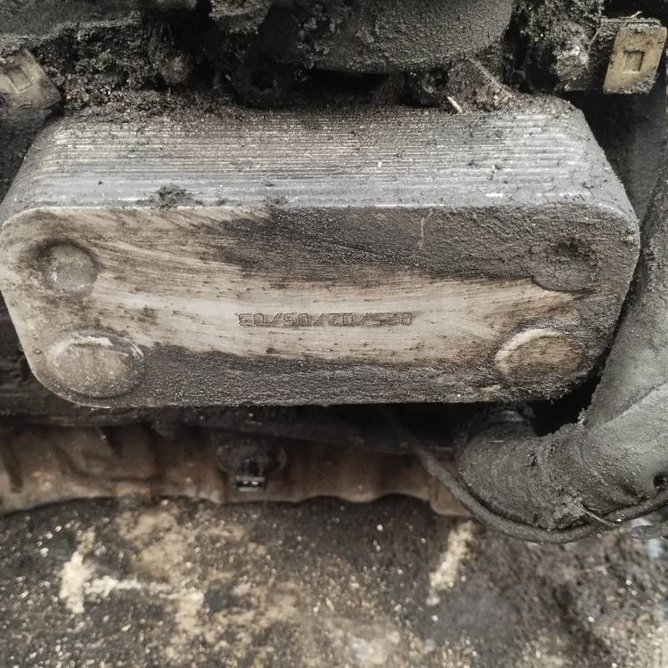 Opel Signum 2004 Oil radiator cooler (Oil Cooler)