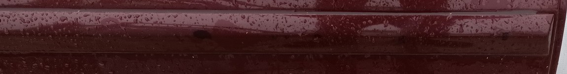 RAUDONA Opel Vectra 2004 Molding door - REAR RIGHT side - Thumbnail 2