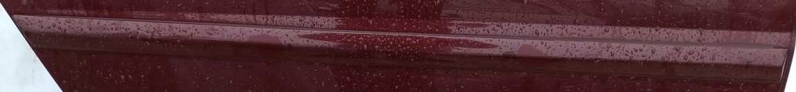 RAUDONA Opel Vectra 2004 Molding door - REAR RIGHT side