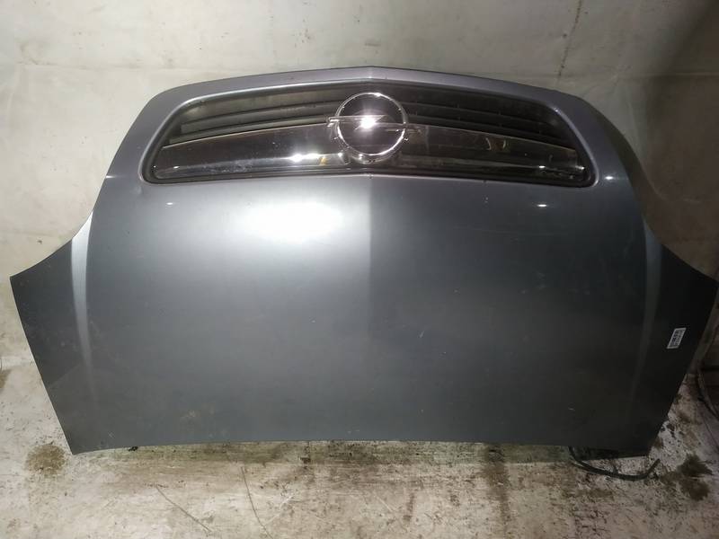 PILKAS Opel Meriva 2006 Hood