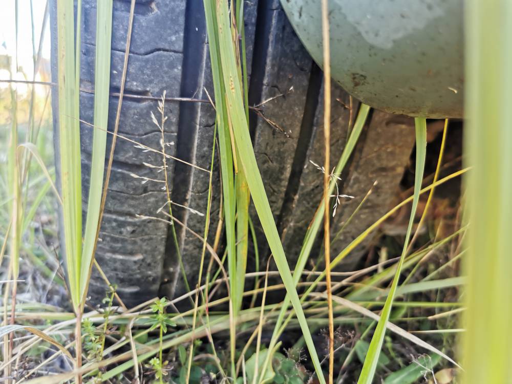 5X108 Renault Espace 2004 Tin-Ring-Set R17 - Thumbnail 5