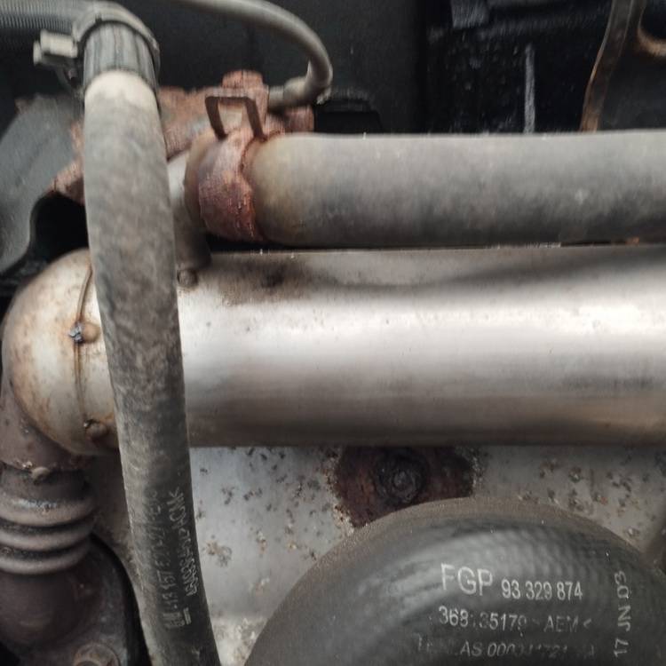 Opel Meriva 2005 Chłodnica EGR (chłodnica spalin EGR)