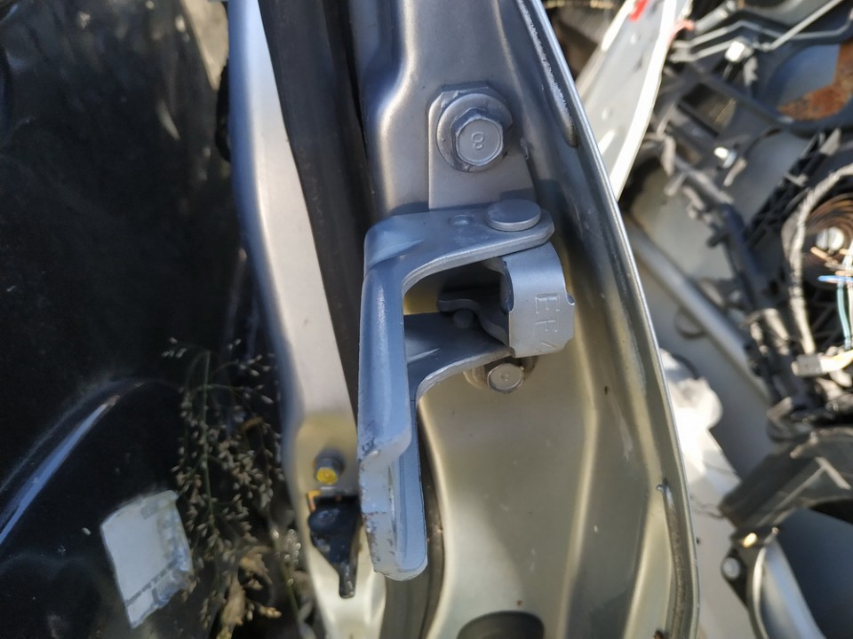 Mitsubishi Grandis 2005 Door Hinge - FRONT
