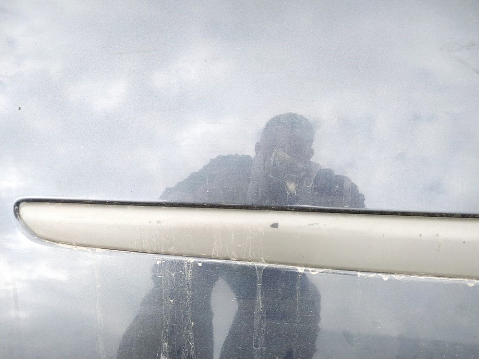 Renault Laguna 2002 Duru moldingas isorinis G.D. - Thumbnail 2