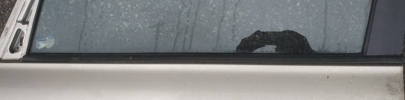 Toyota Avensis Verso 2001 Listón embellecedor de la ventana de la puerta delantera - DELANTERO IZQUIERDO