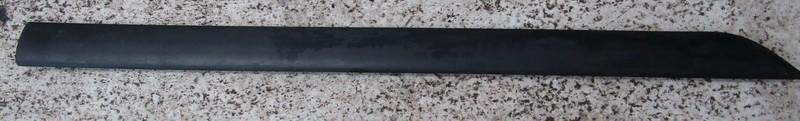 98ABF20939AEW Ford Focus 2000 Molding door - FRONT LEFT