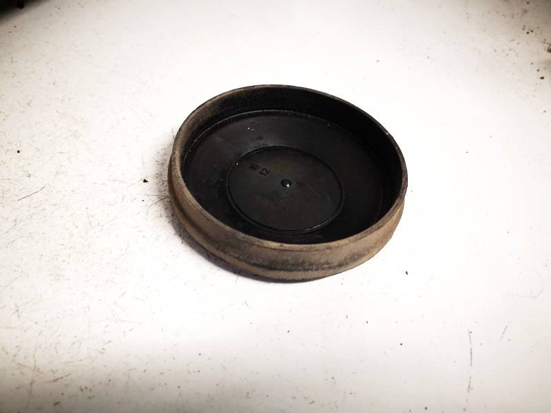 153874 Renault Espace 2005 Zibinto lemputes dulkiu dangtelis P. - Thumbnail 3