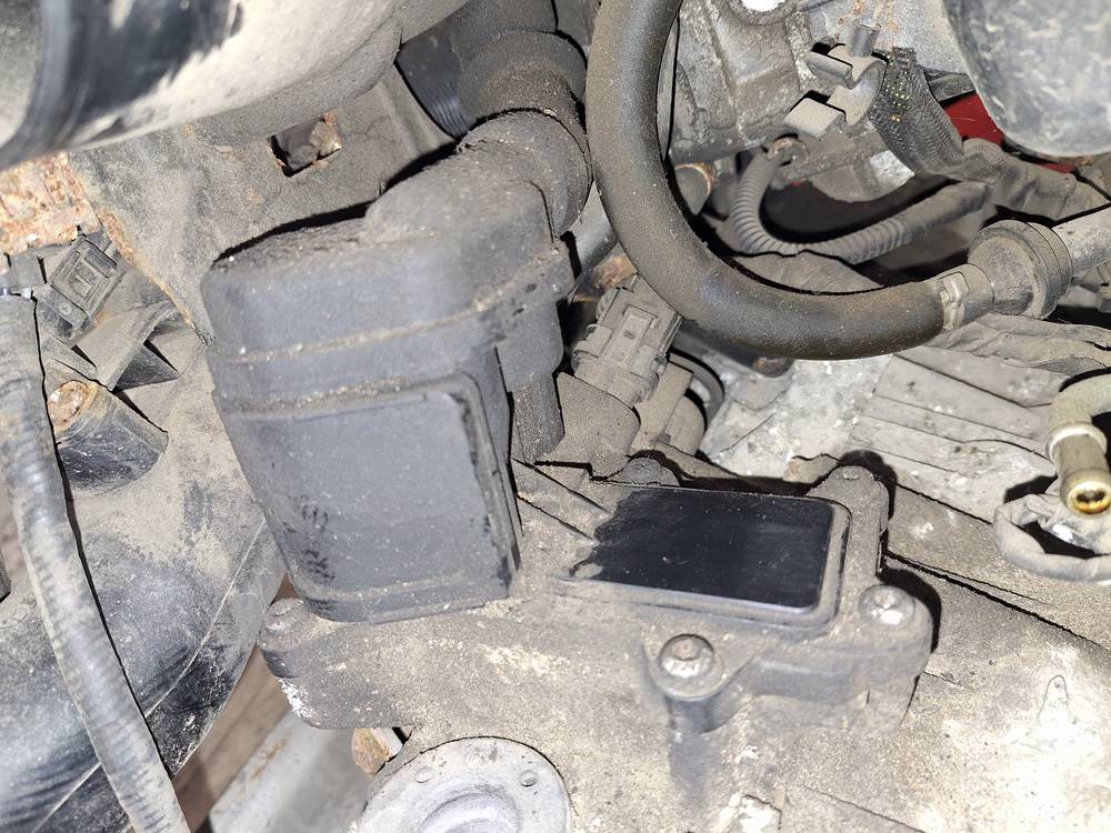 Mercedes-Benz B-CLASS 2005 EGR voztuvas