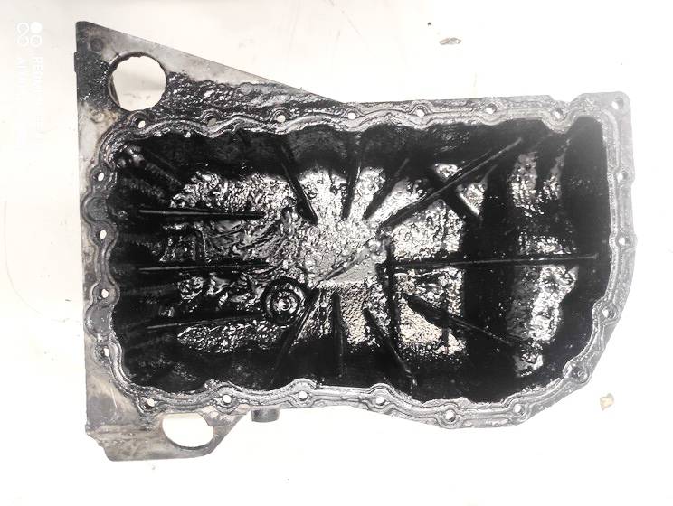 Renault Espace 2004 Variklio karteris