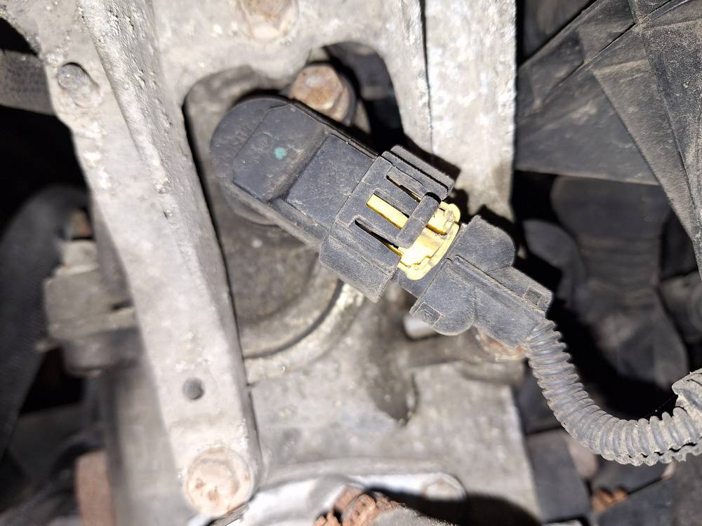 Fiat Punto 2007 Virsutinis holo daviklis