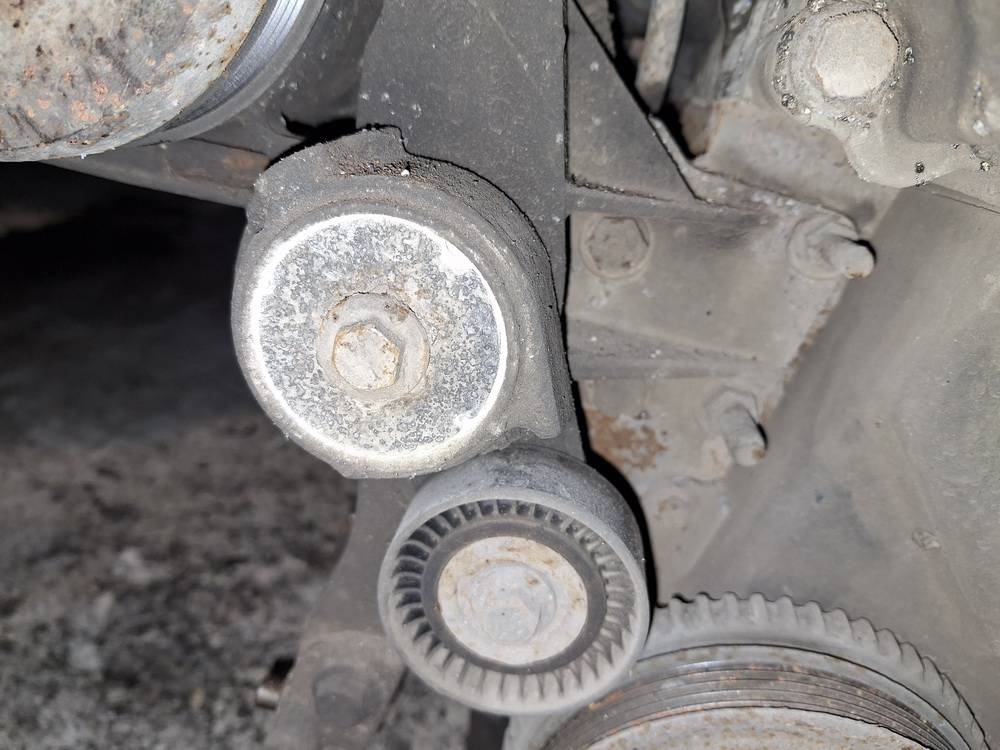 Fiat Punto 2007 Dirzo itempejas (Paskirstymo dirzo itempejas)