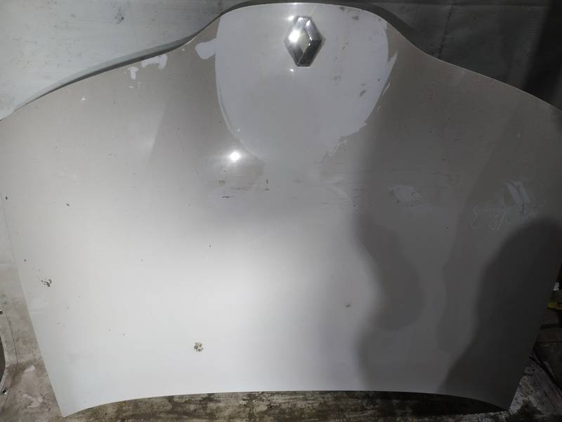 BALTAS Renault Laguna 2004 Hood