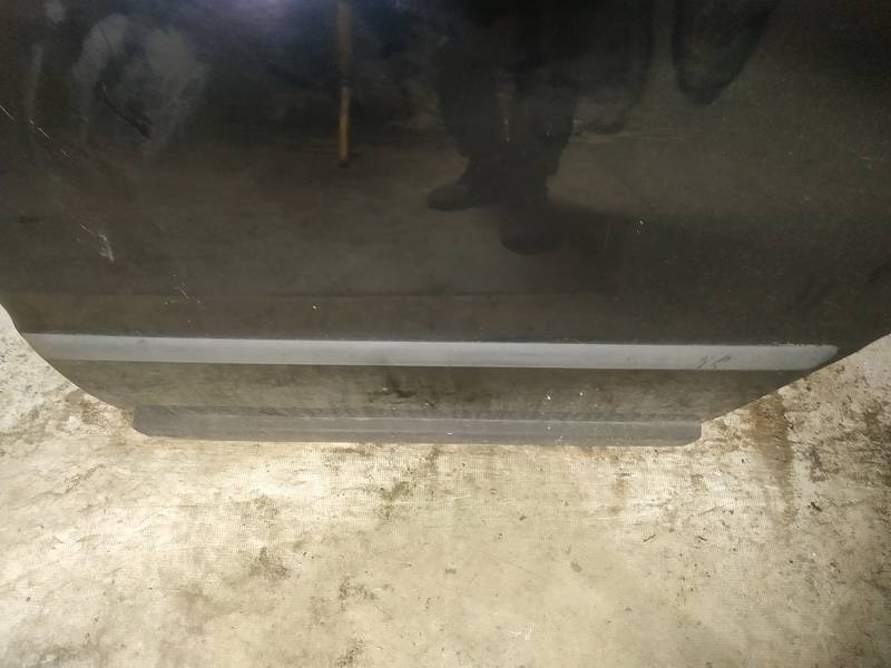 Volkswagen Passat 2000 Molding door - REAR LEFT