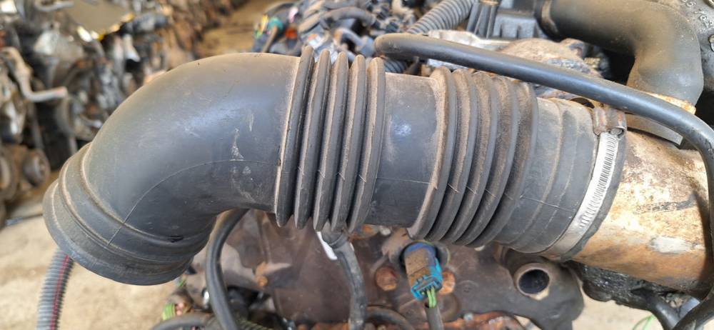 Citroen Berlingo 2002 Wąż intercoolera