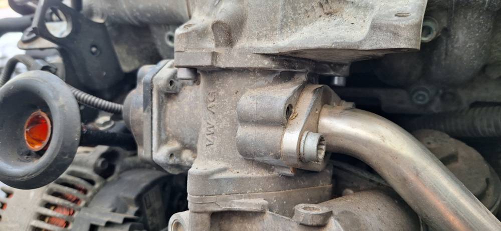 03G131501 Volkswagen Passat 2006 EGR Valve Exhaust Gas - Thumbnail 2