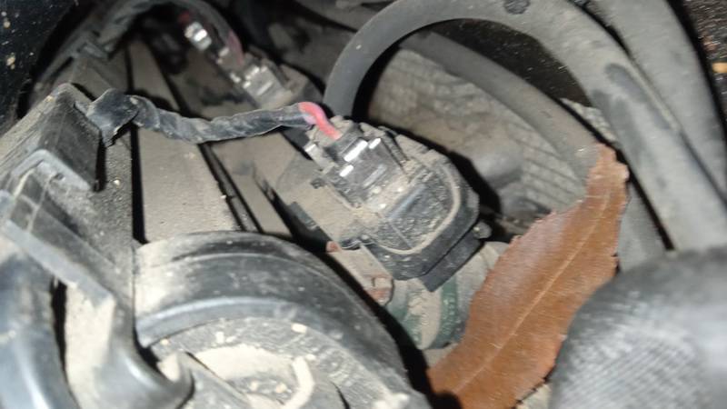 037906031AA Volkswagen Golf 1998 Fuel injector rail (injectors)(Fuel distributor) - Thumbnail 2