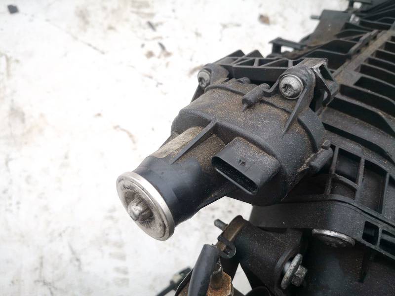 0280751014 BMW 5-Series 2012 Kolektoriaus sklendziu varikliukas